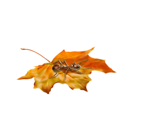 őszi állatok_7.png